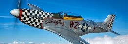 Creating ‘Contrary Mary’: Story of a Mustang scheme